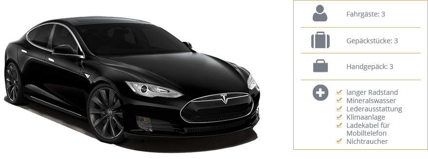 Green Class - Tesla Model S - Details
